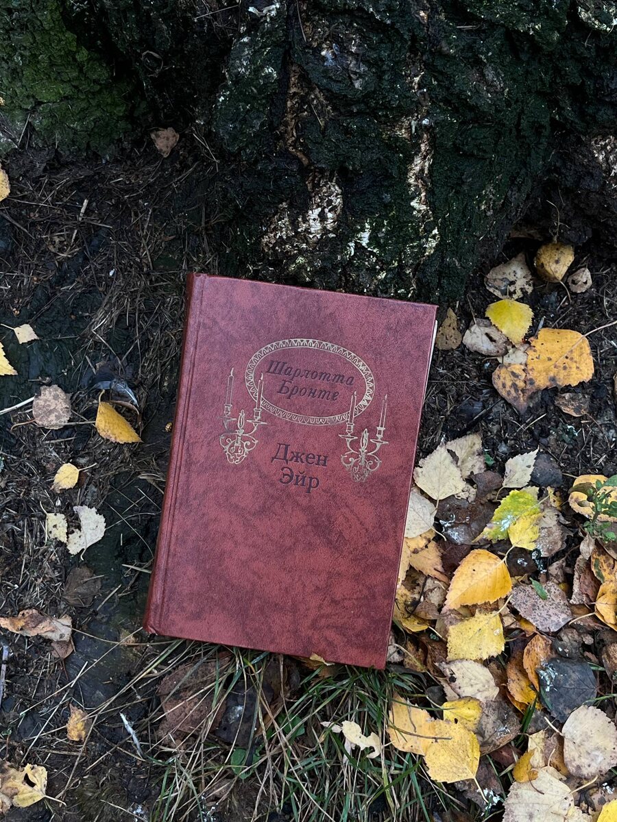 Перевод Вера Станевич.