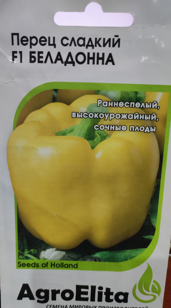 Фото автора, пакет семян гибрида Беладонна от фирмы Агро Элита, июль 2025 года