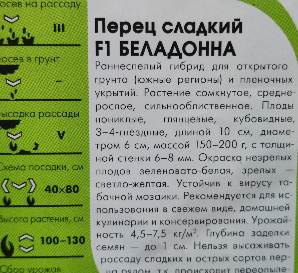 Фото автора, пакет семян гибрида Беладонна от фирмы Агро Элита, июль 2025 года