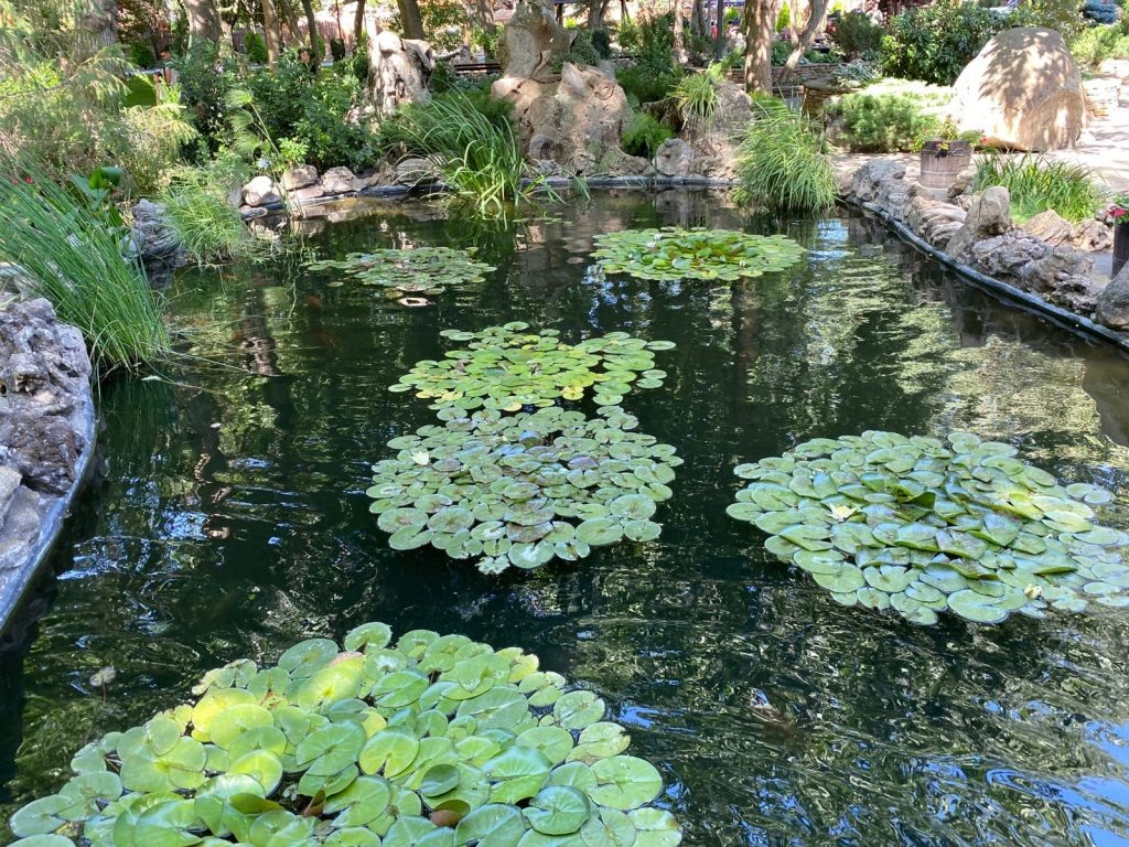   Фото: И. Куницкая. Галина Ященко