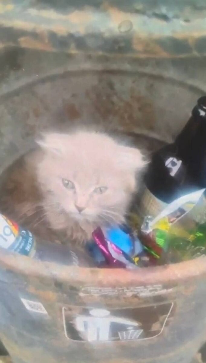 Вот так грустно и прозаично. Фото из архива автора