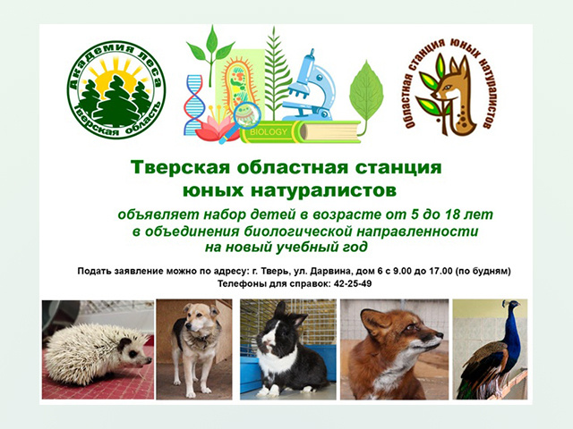 Где в Твери можно найти уголок «дикой» природы и стать в нем своим