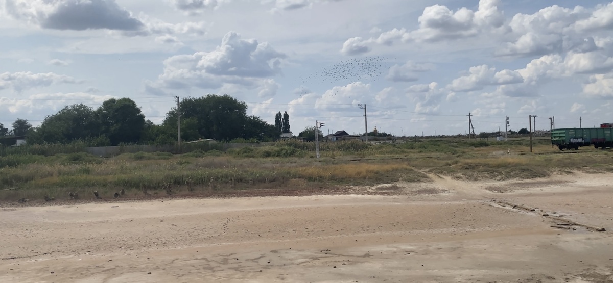 Вид у выхода к озеру. Фото из архива автора