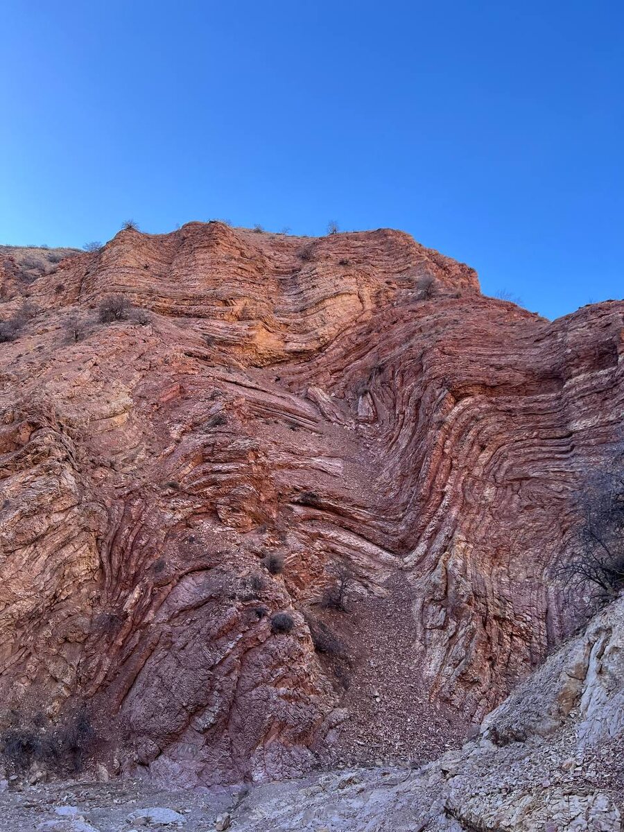 Фотография от путешественницы