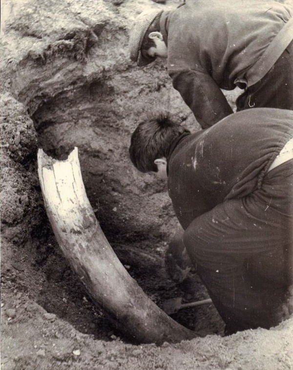 Фото из открытых источников