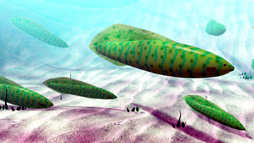 Первые позвоночные были весьма разнообразны...