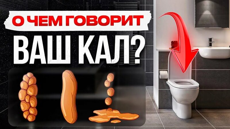 Что Может Рассказать Ваш Стул о Здоровье Кишечника