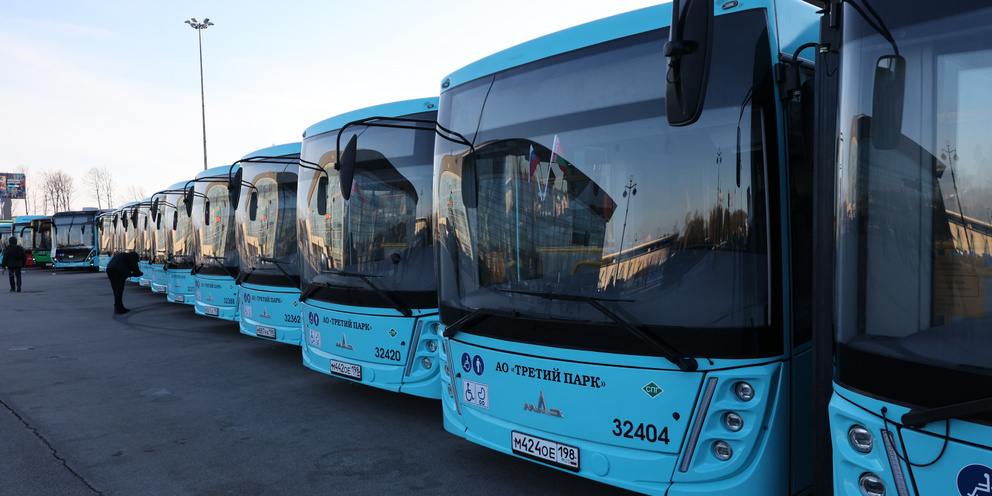 Автобусы Минского автомобильного завода (МАЗ) в Санкт-Петербурге