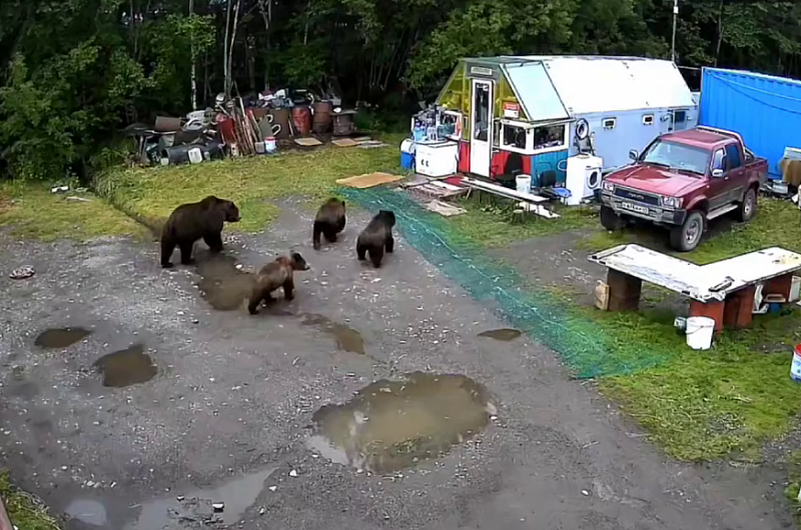 администрация Усть-Большерецкого округа