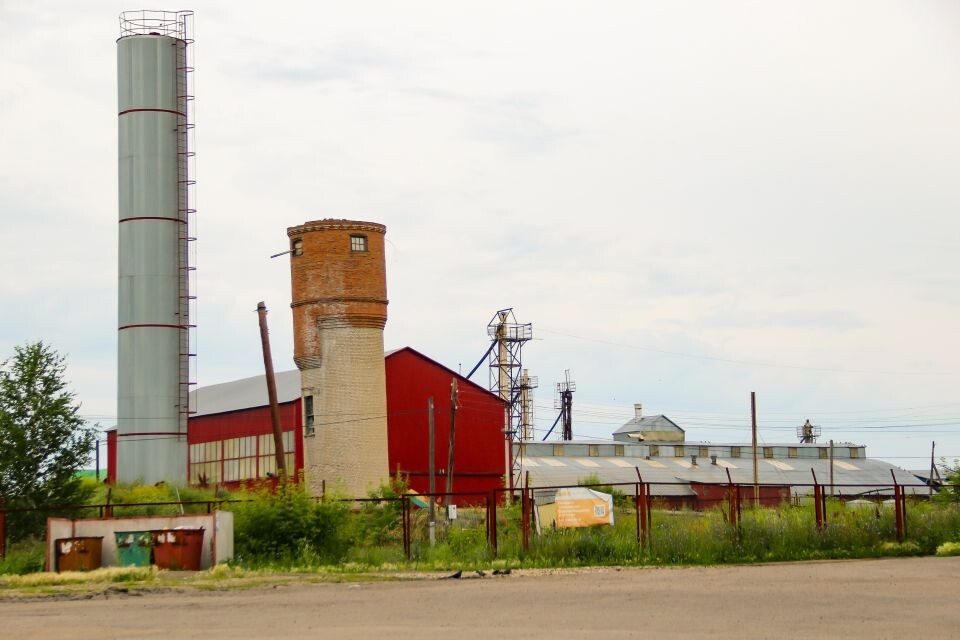    Село Новороманово Калманского района. Июль 2025. Источник: Виталий Барабаш