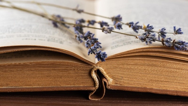      Фото: @olgaleschenko / freepik.com