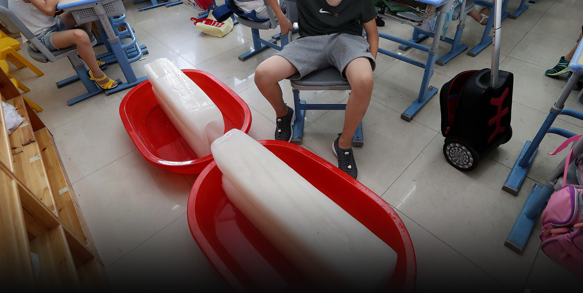 Шикарные глыбы, весят кило по двадцать, наверное