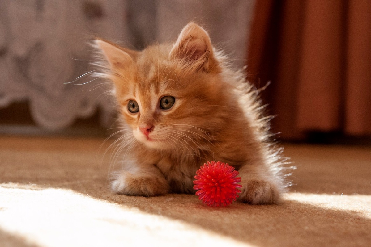 стало интересно, чем занимаются дети