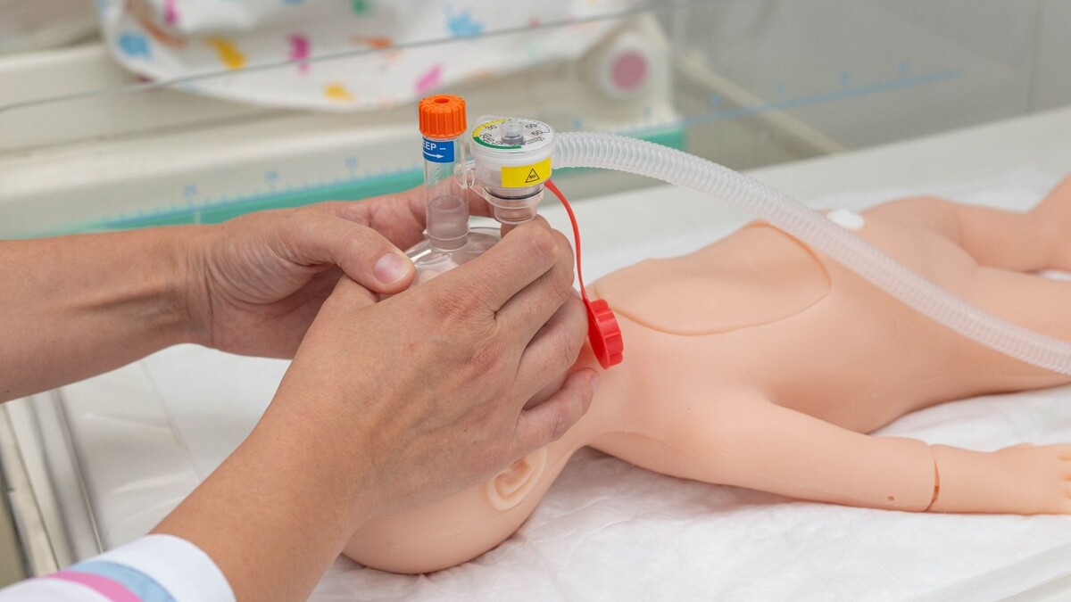     Источник: 1MI