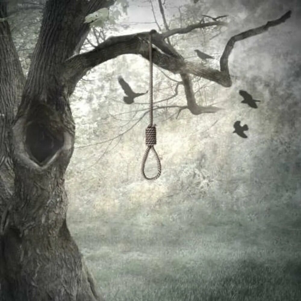 Изображение взято из открытых источников интернета. 