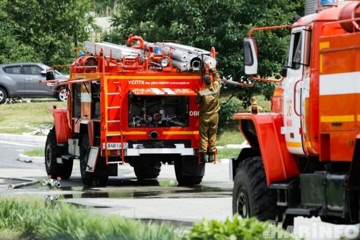    Фото:Ольга Цыкарева