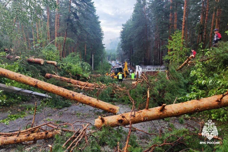    Последствия урагана в Республике Алтай. Источник: ГУ МЧС по Республике Алтай