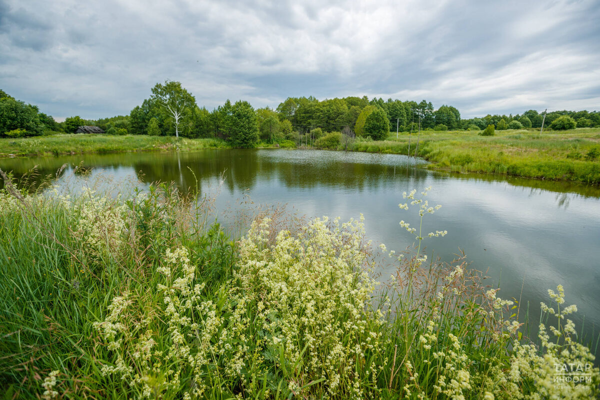 Фото: © Владимир Васильев / «Татар-информ»
