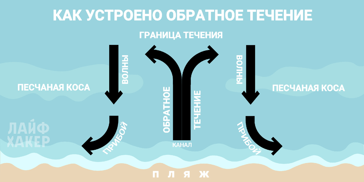 Фотография с сайта lifehacker.ru