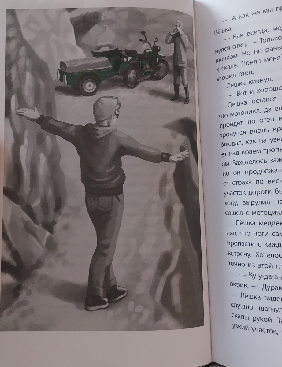 Иллюстрации в книге мне не понравились