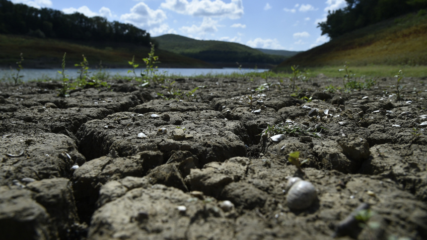    Фото: ИЗВЕСТИЯ/Александр Полегенько; 5-tv.ru