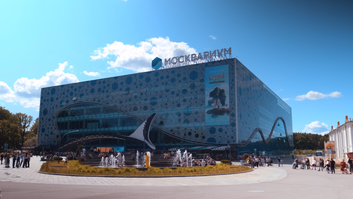 Москва, территория ВДНХ, проспект Мира, д. 119, стр. 23