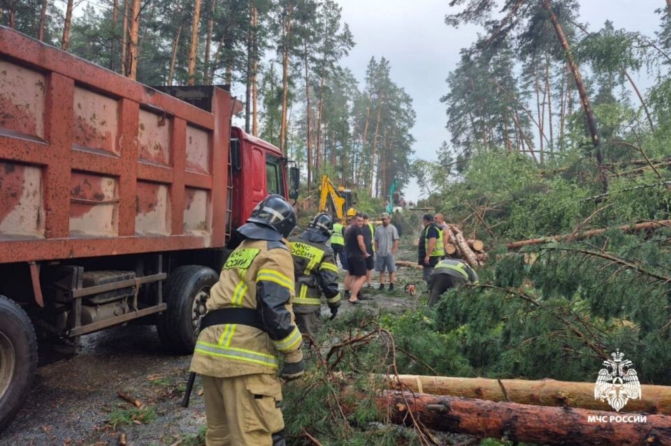    Последствия урагана в Республике Алтай. Источник: ГУ МЧС по Республике Алтай