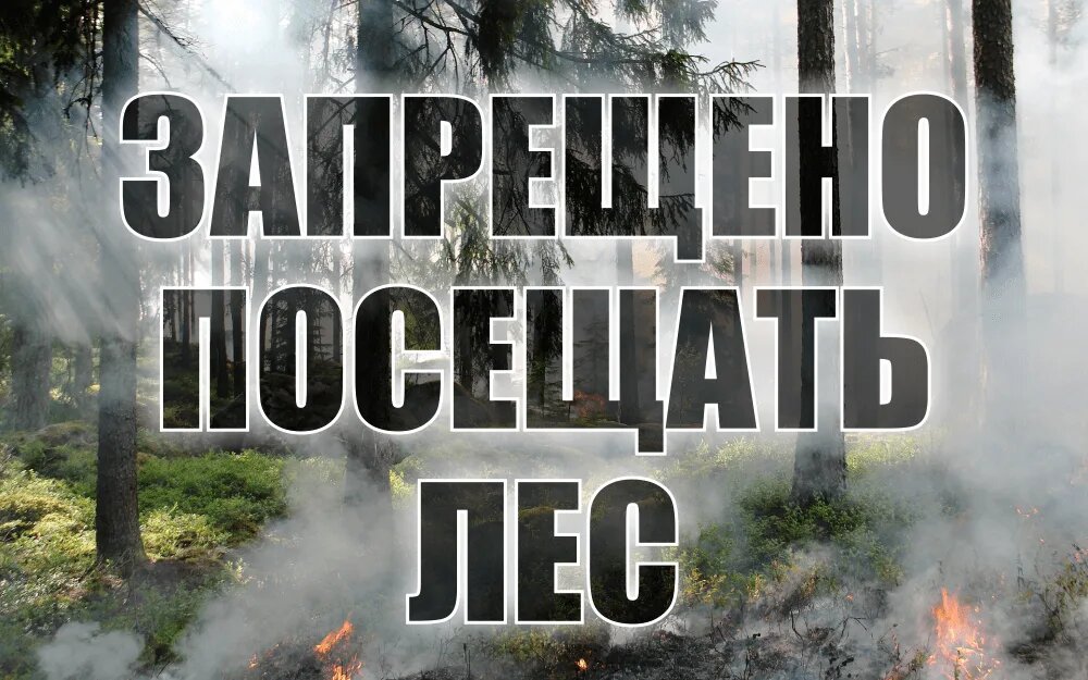    Фото: Открытый источник