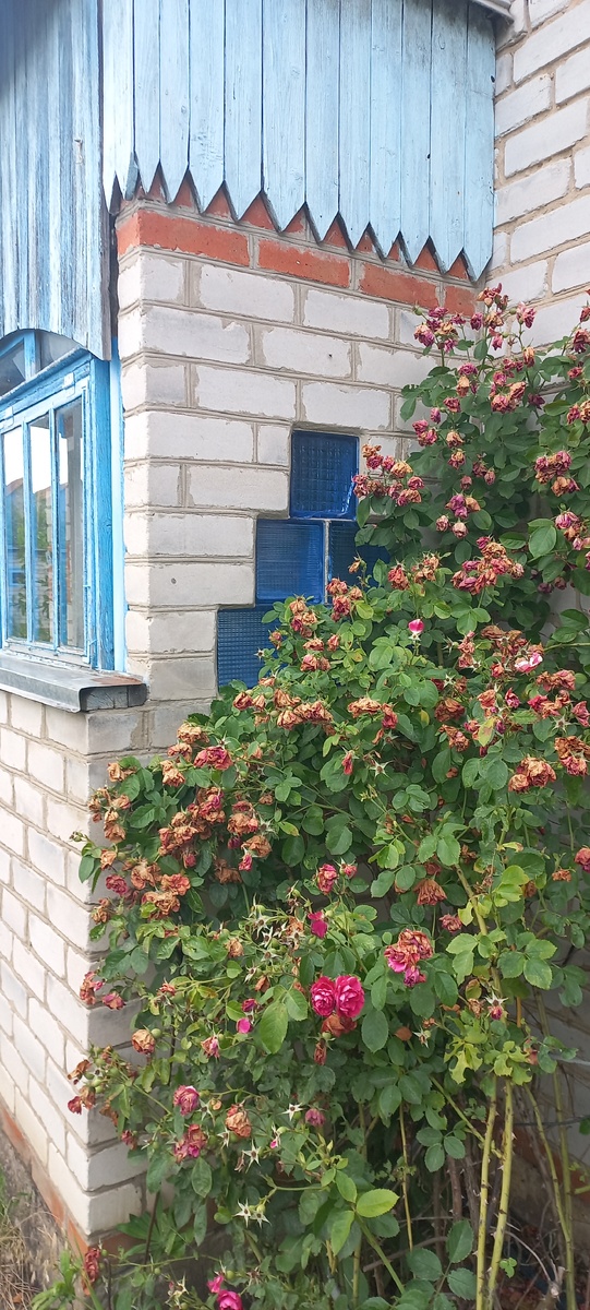 Фото личное