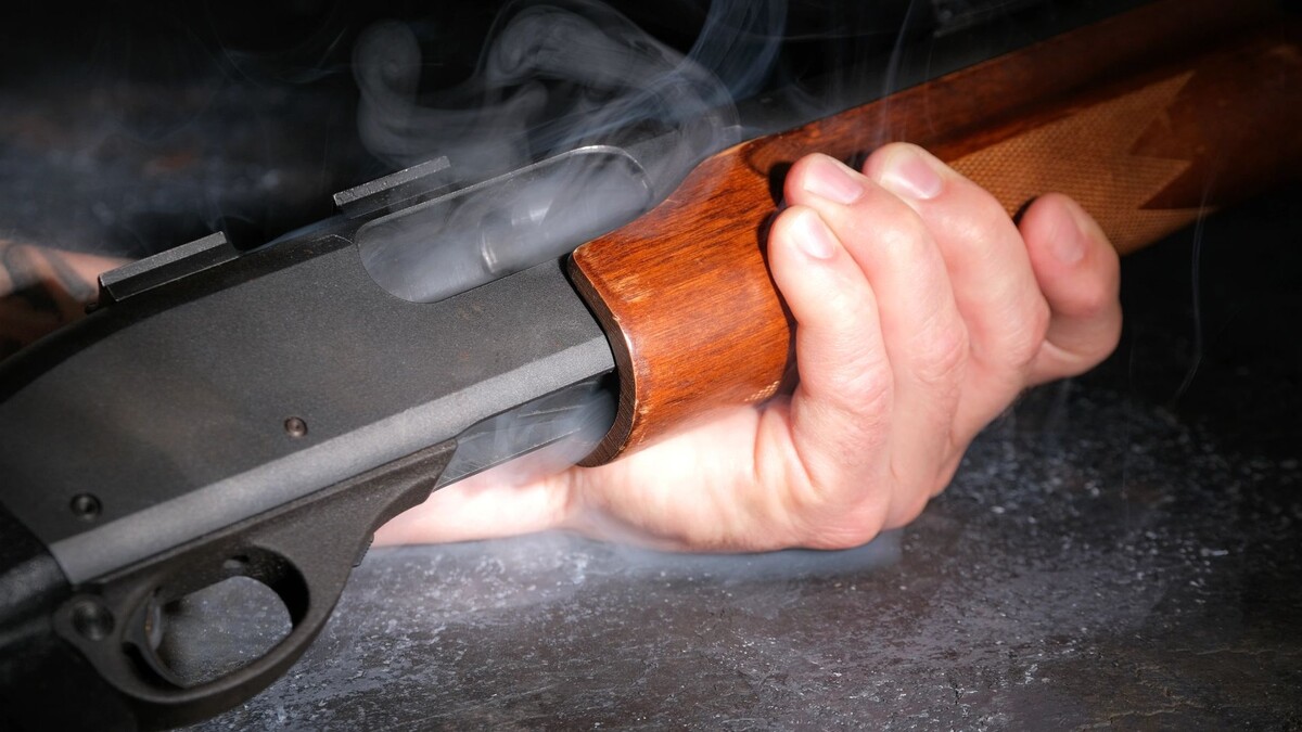    Фото: Alexsander Ovsyannikov / Shutterstock / Fotodom