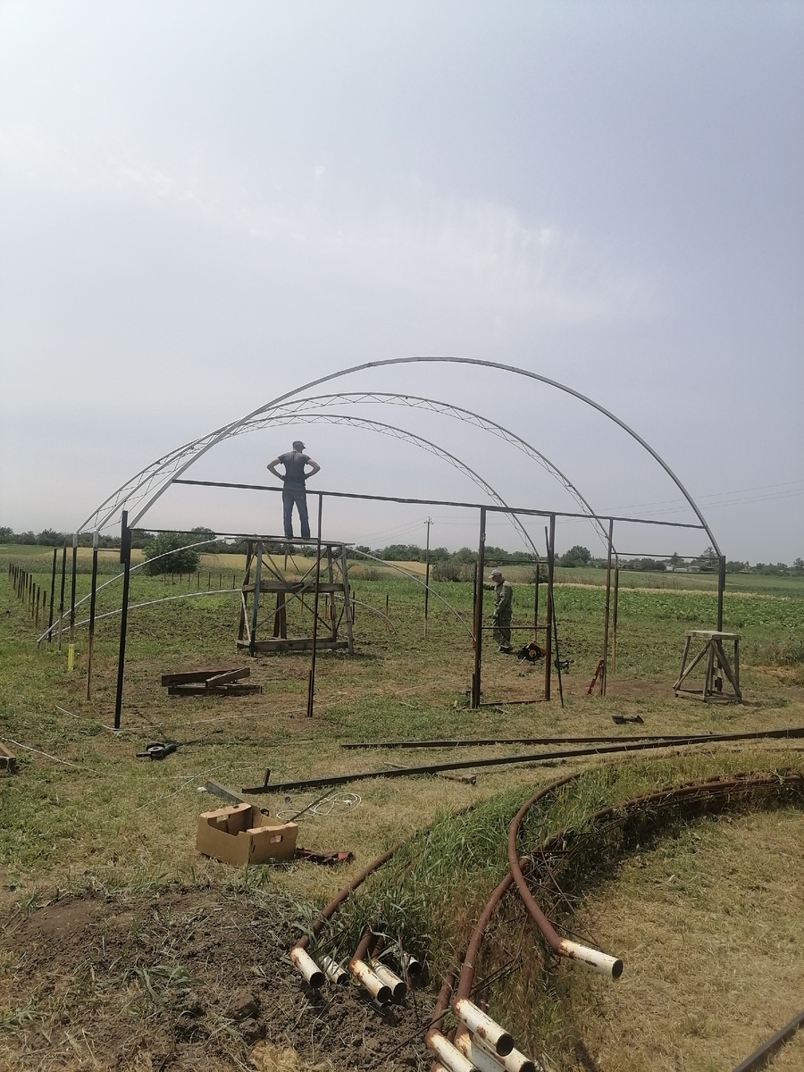 Ставим дуги.