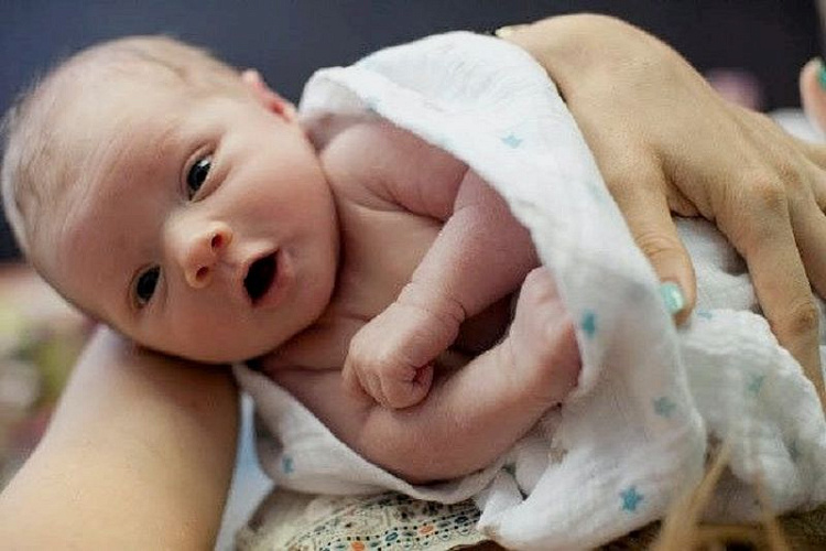 яндекс картинки