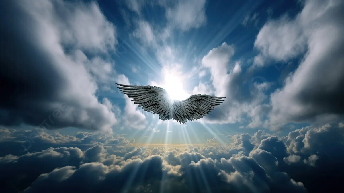 фото с отрыттых источников