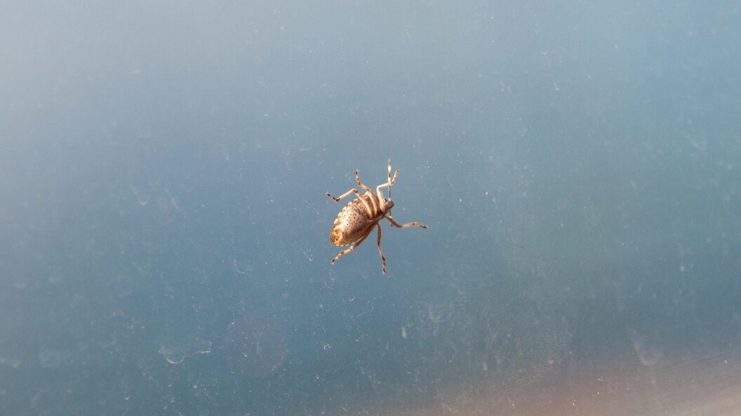    Фото: Svetlana Vozmilova/Global Look Press