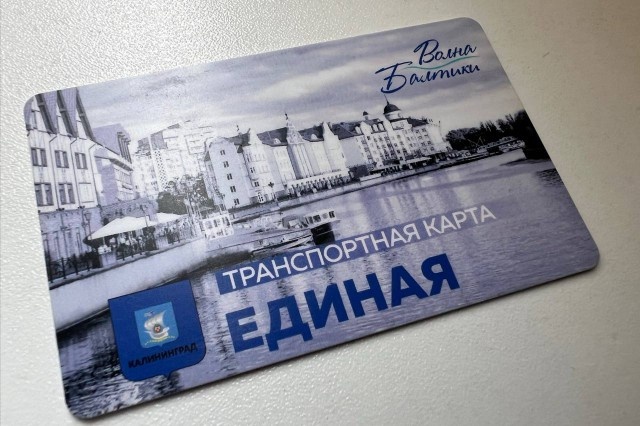   Фото: Калининград.Ru