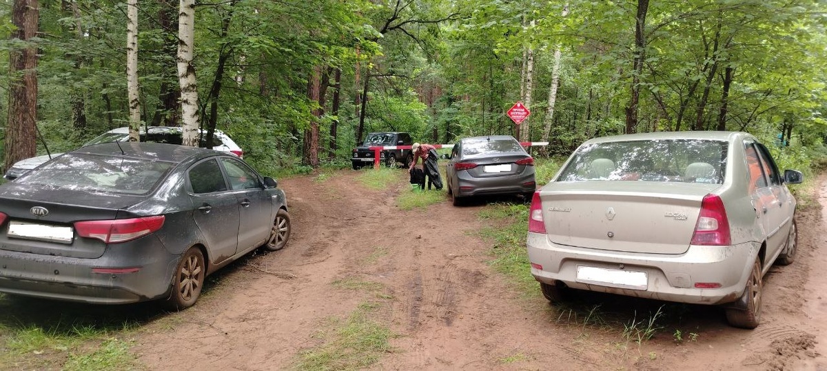    Жара и грибной сезон стали причинами нарушений в Бузулукском бору