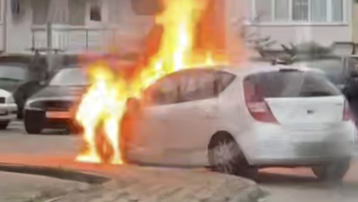    Фото t.me/chp_sochi