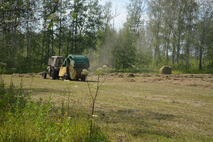 © Фото из архива газеты «Убинский вестник».📷
