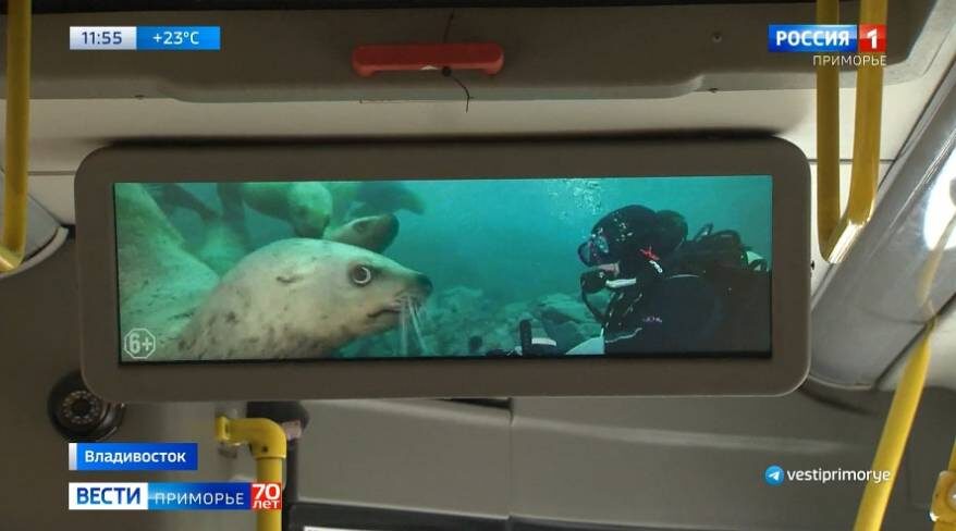    Источник фото: