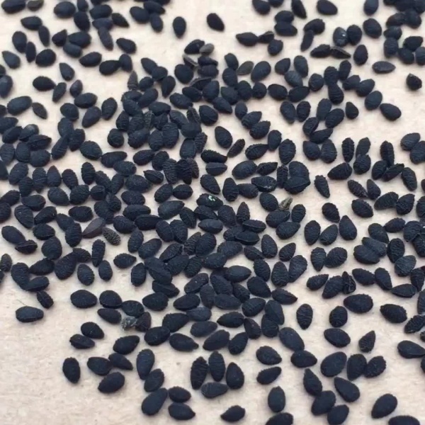 Семена нигеллы