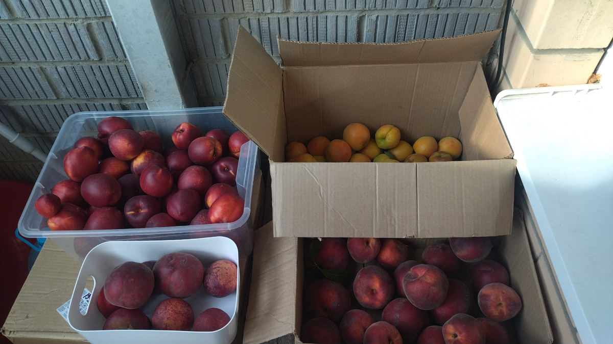 Фото автора. 