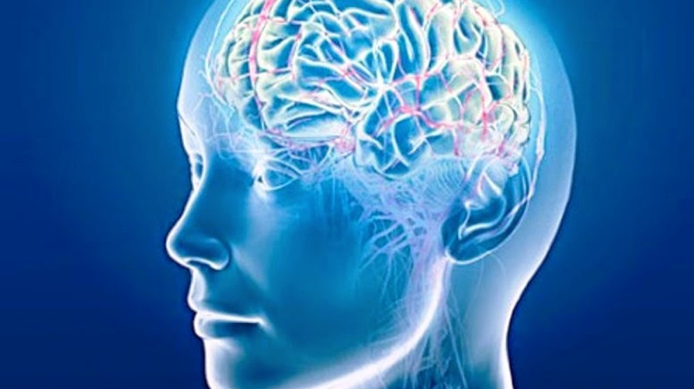    Цифровые дети и префронтальная кора: неожиданные последствия технологий