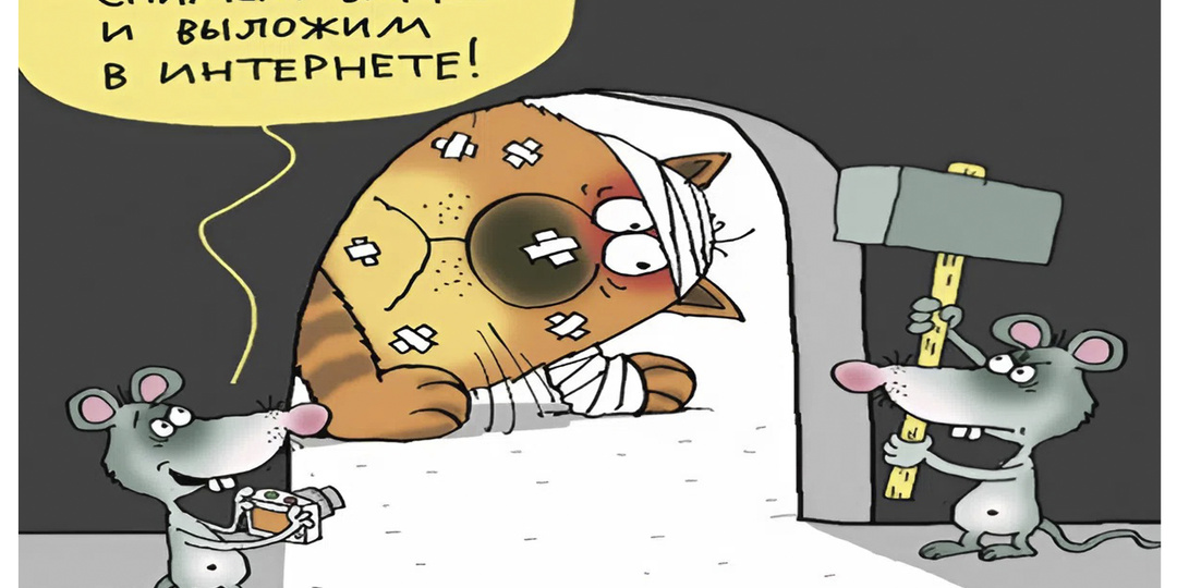 22 смешных карикатуры про котов от Николая Воронцова