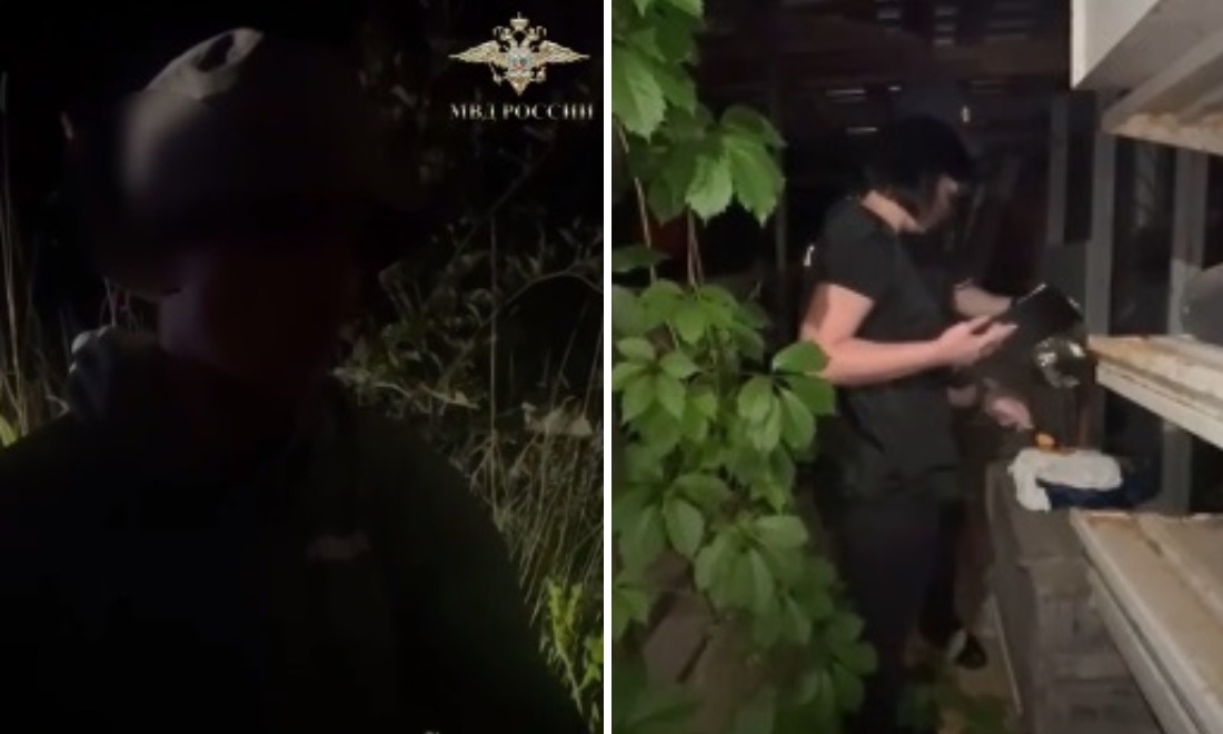 Фото: скриншот ГУ МВД по Московской области