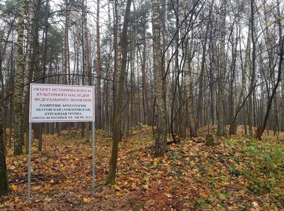 Акатовская курганная группа. Фото позаимствовано отсюда: https://vk.com/wall-148207034_37998