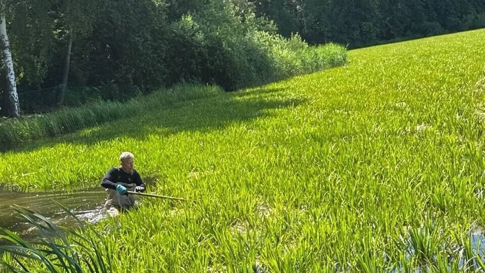     Источник: Диалоги о городе