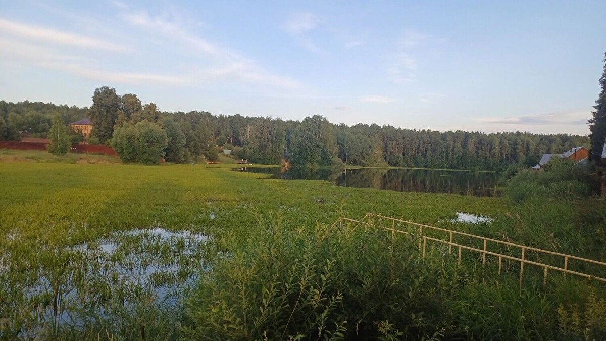     Источник: Наталья Шарова