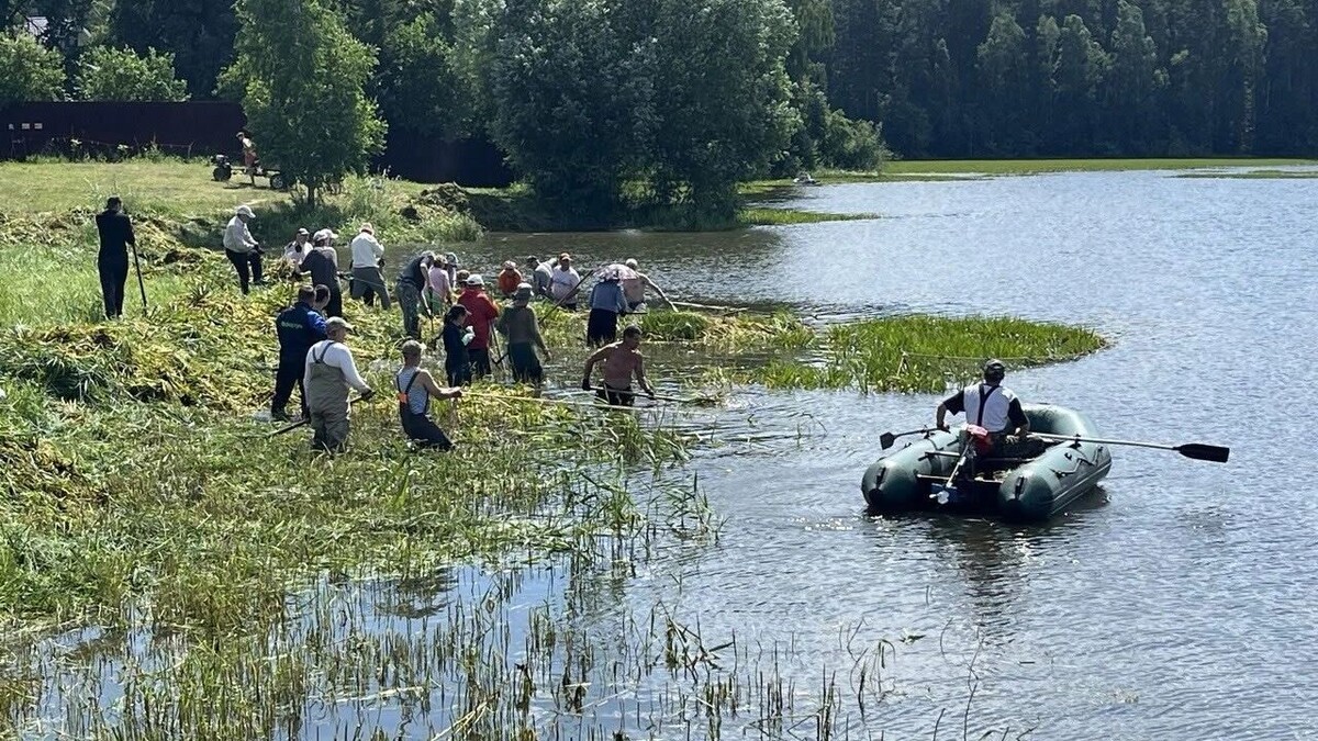     Источник: Наталья Шарова