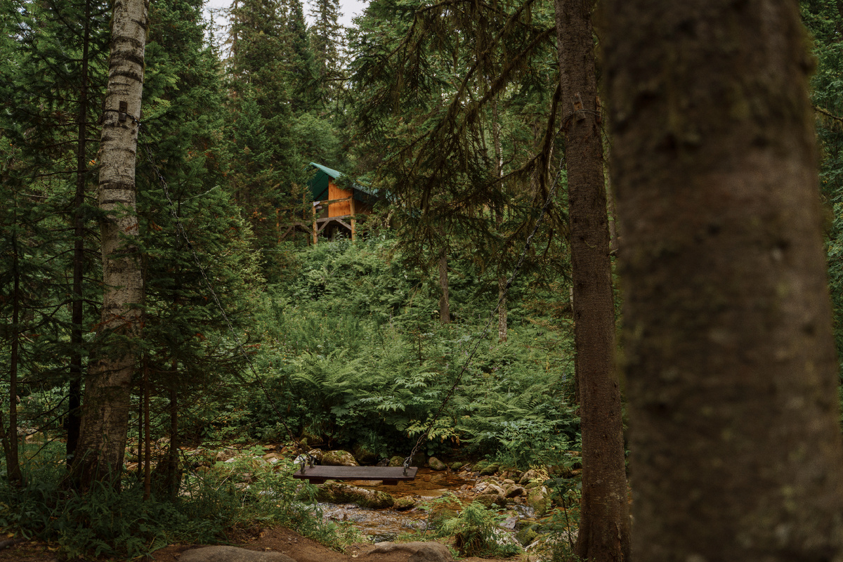 Таёжный лес Шерегеша