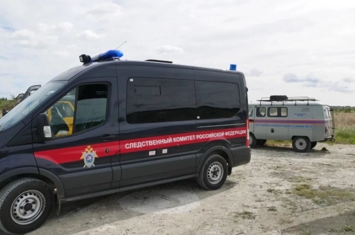    В Чердаклинском районе 11-летняя девочка утонула в озере